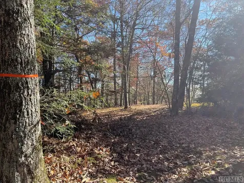 Lot 13 Yarrow Lane Glenville NC 28736