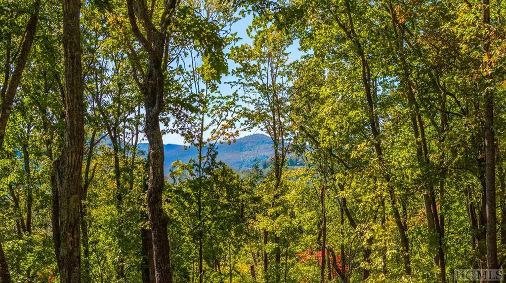 Lot 89 Black Oak Drive Sapphire NC 28774