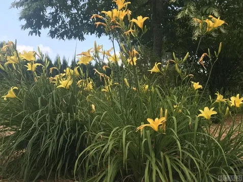 1320 Cobb Road Highlands NC 28741