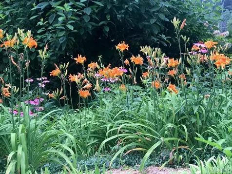 1320 Cobb Road Highlands NC 28741