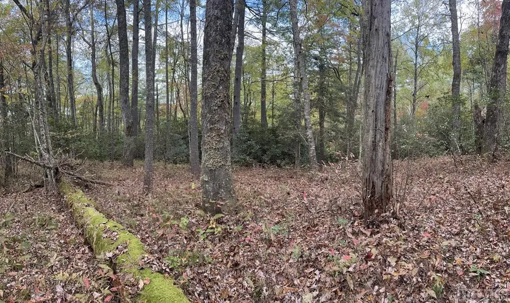 Lot 55 Lupton Road Sapphire NC 28774