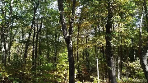 Lot 7 Glenridge Road Glenville NC 28736