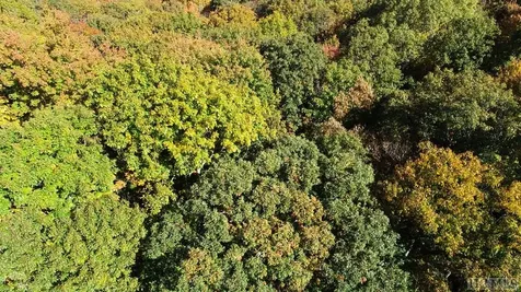 Lot 7 Glenridge Road Glenville NC 28736