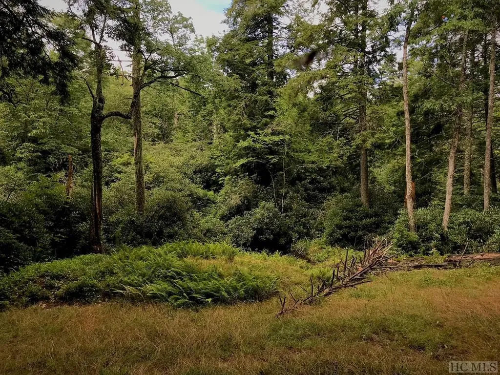 Tbd Sagee Woods Drive Highlands NC 28741
