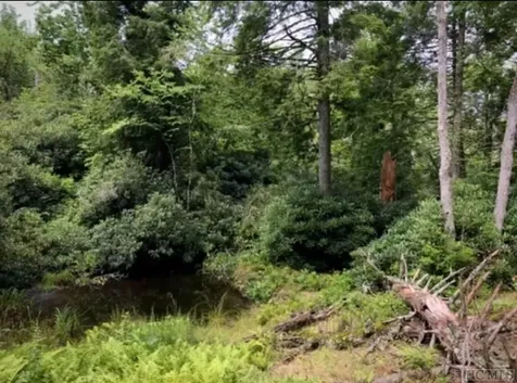 Tbd Sagee Woods Drive Highlands NC 28741