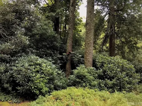 Tbd Sagee Woods Drive Highlands NC 28741