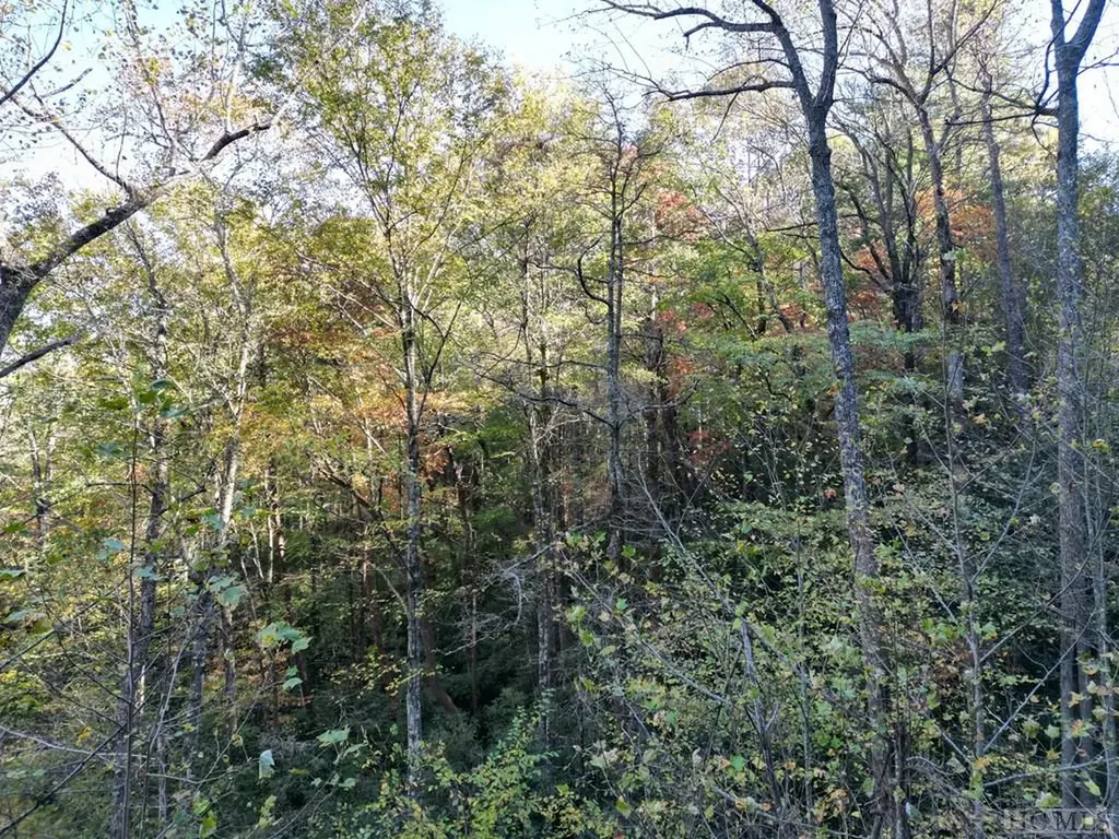 Lot G11 Bent Blade Sapphire NC 28774