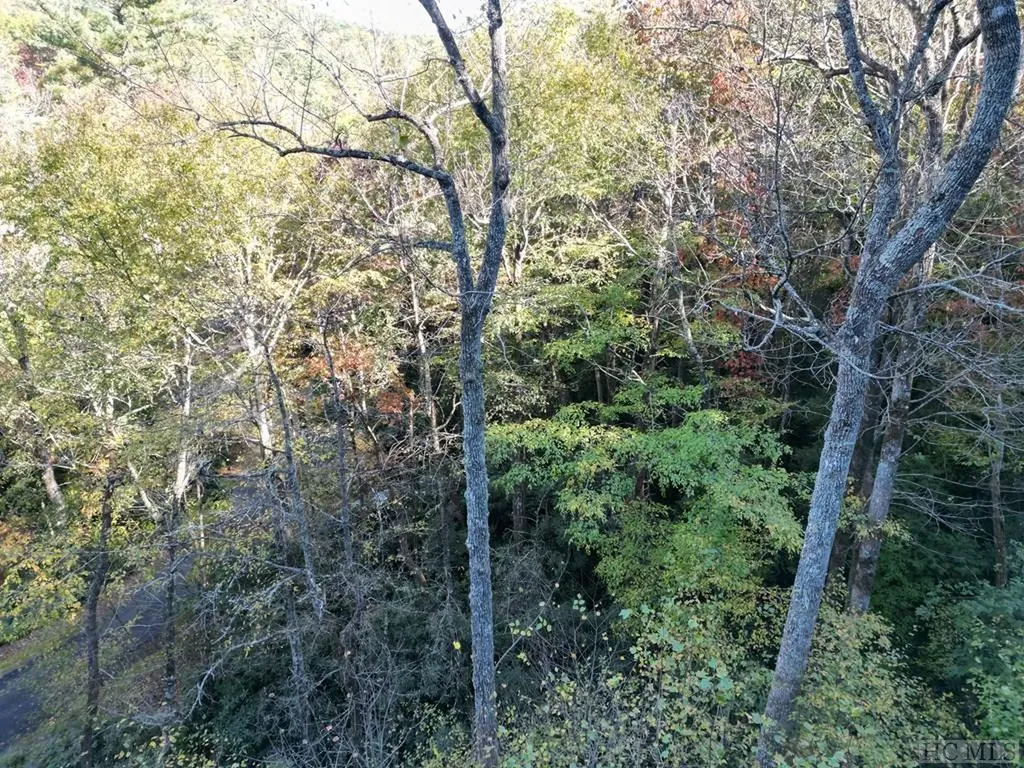 Lot G11 Bent Blade Sapphire NC 28774