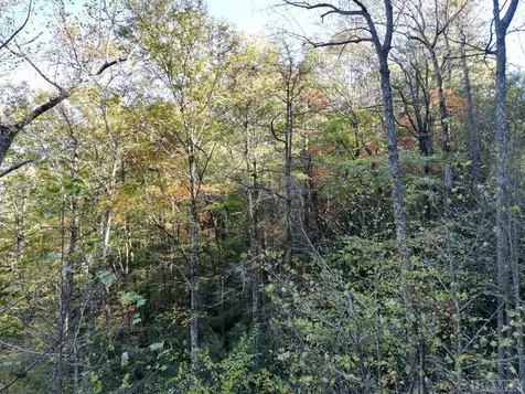 Lot G11 Bent Blade Sapphire NC 28774