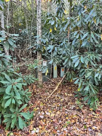 Lot G11 Bent Blade Sapphire NC 28774