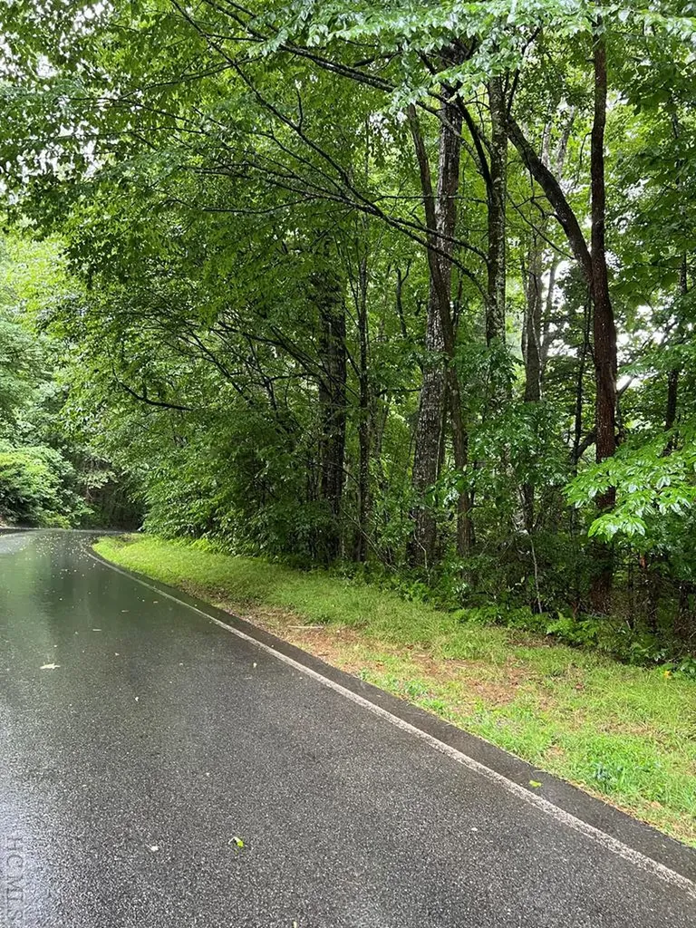 Lot 40 Narrows Road Sapphire NC 28774