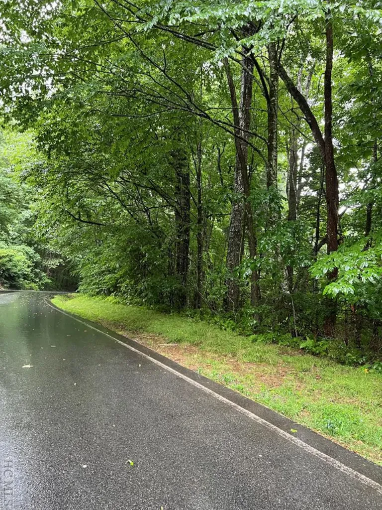 Lot 40 Narrows Road Sapphire NC 28774