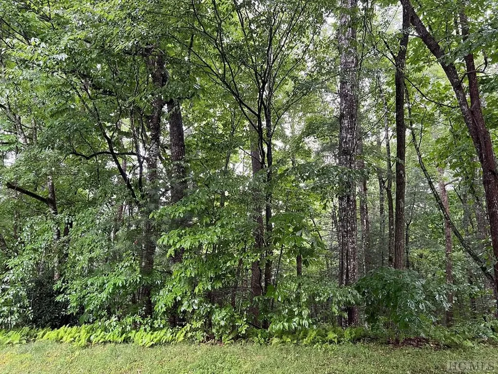 Lot 40 Narrows Road Sapphire NC 28774