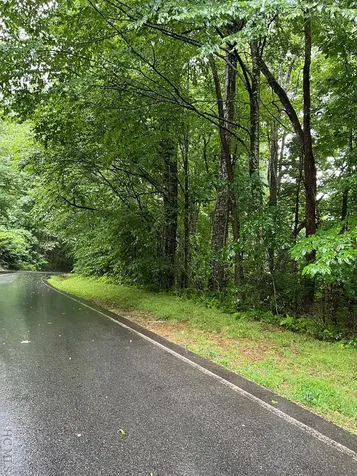 Lot 40 Narrows Road Sapphire NC 28774