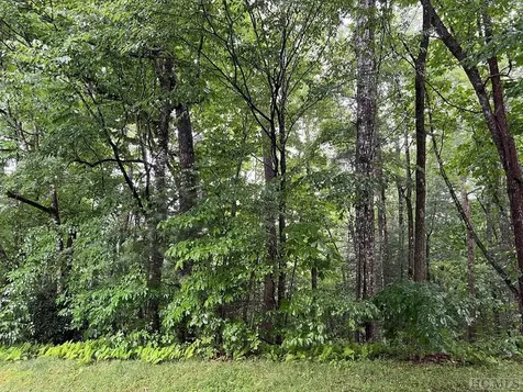 Lot 40 Narrows Road Sapphire NC 28774