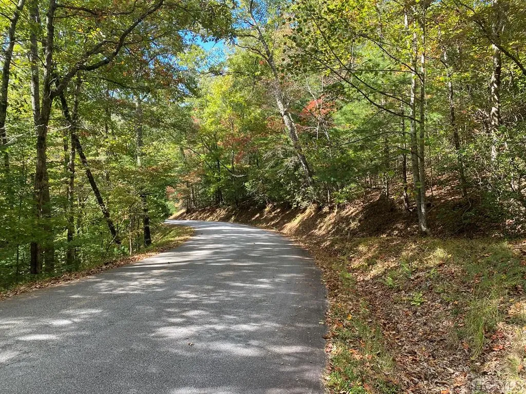 Tbd North Blaine Branch Road Franklin NC 28734