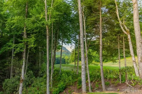 374 Turkey Roost Road Sapphire NC 28774