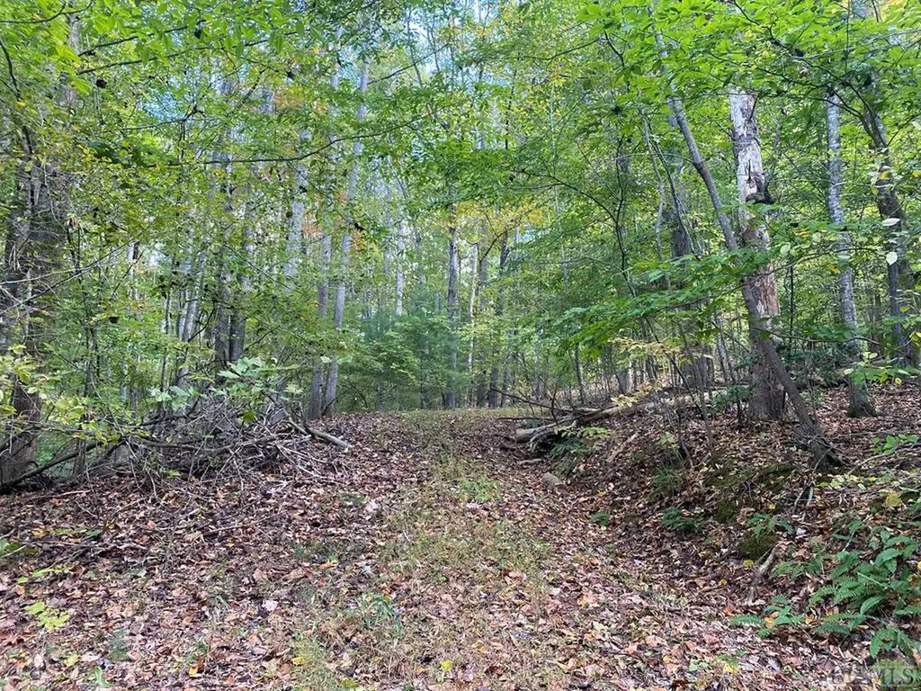 Tbd Potts Branch Road Franklin NC 28734