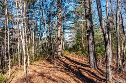 Tract 5 Highlands Gate Drive Highlands NC 27741