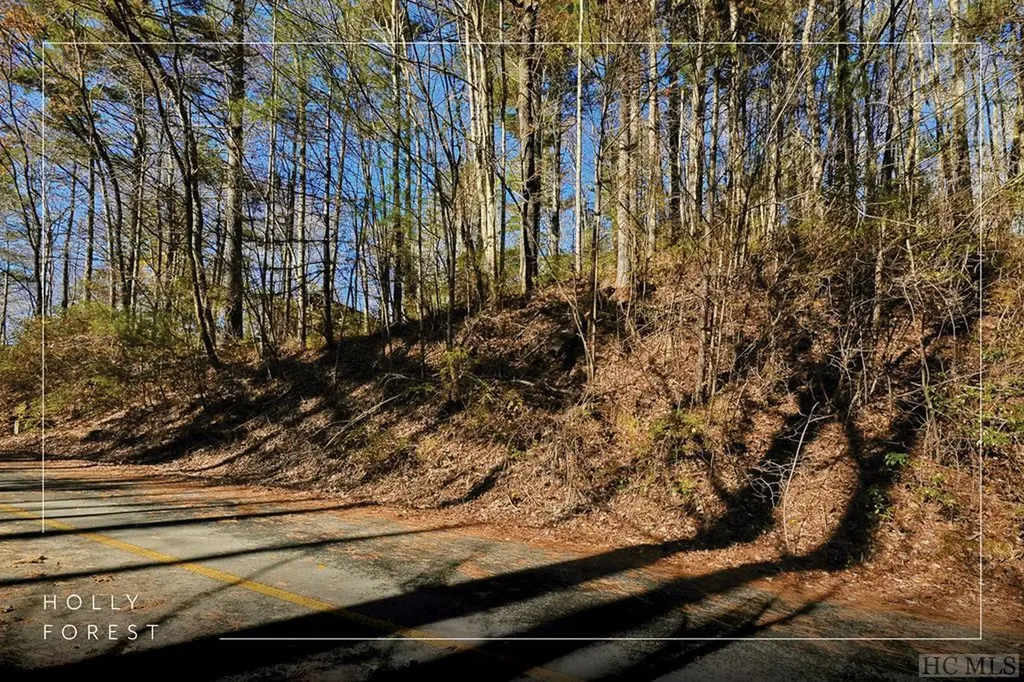 Lot 112 West Christy Trail Sapphire NC 28774