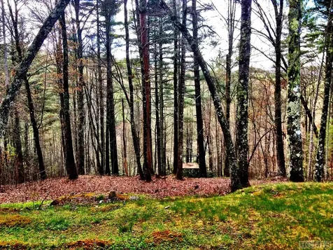 12 Trillium Ridge Road Cullowhee NC 28723