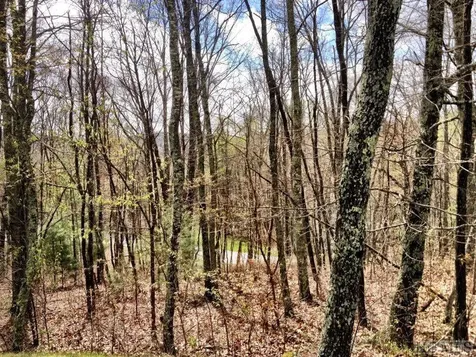 10 Trellis Lane Cullowhee NC 28723