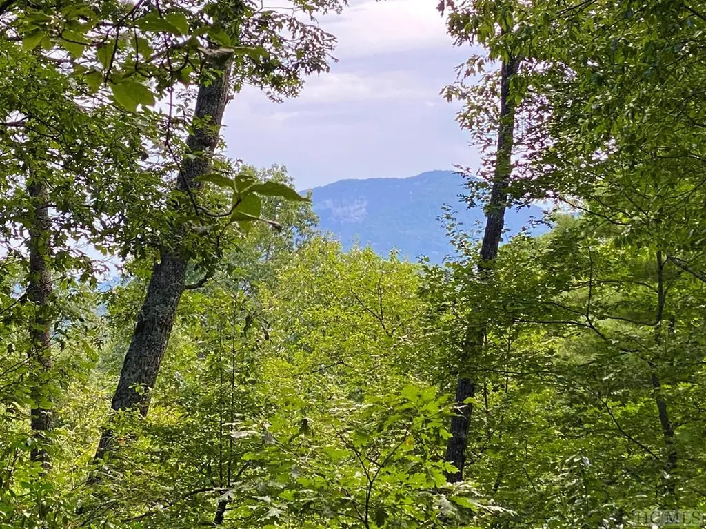 Lot E6 Chimney Top Trail Cashiers NC 28717