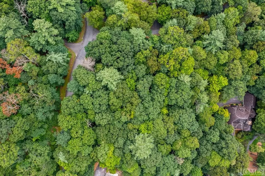 Lot E6 Chimney Top Trail Cashiers NC 28717