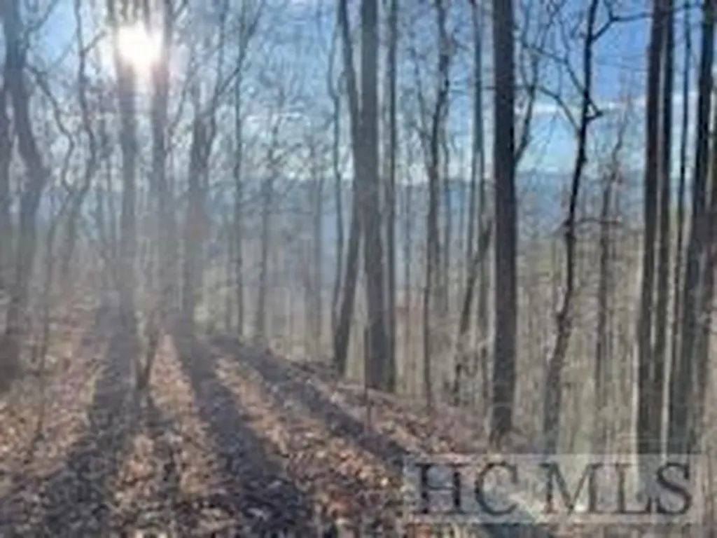 528 Early Deitz Road Sylva NC 28779