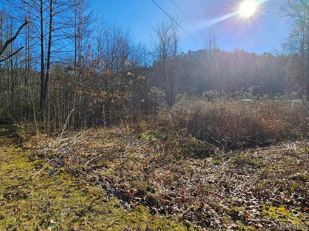 24.74 Ac East Fork Road Sylva NC 28779