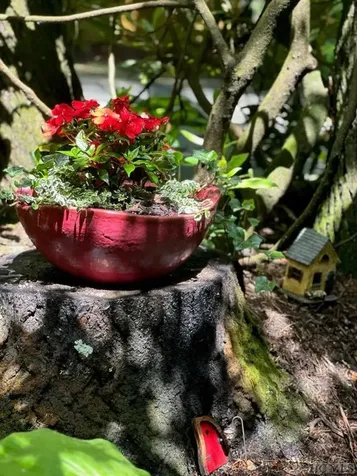 62 Melrose Drive Highlands NC 28741