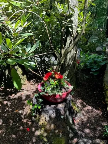 62 Melrose Drive Highlands NC 28741