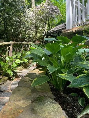 62 Melrose Drive Highlands NC 28741