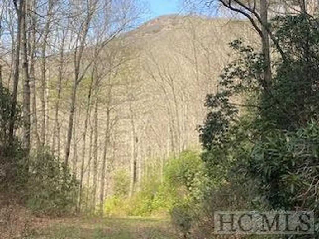 6507 Dillard Road Scaly Mountain NC 28775