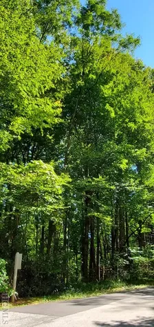 Lot 55 Black Oak Drive Sapphire NC 28774