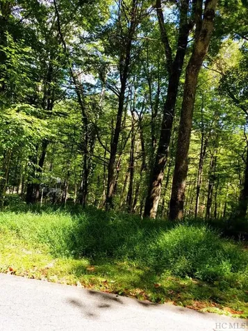 Lot 55 Black Oak Drive Sapphire NC 28774