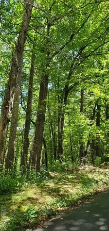 Lot 55 Black Oak Drive Sapphire NC 28774