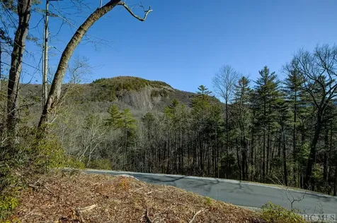 135 Lonesome Valley Road Sapphire NC 28774