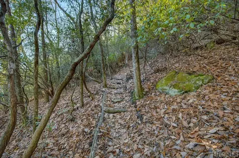 135 Lonesome Valley Road Sapphire NC 28774