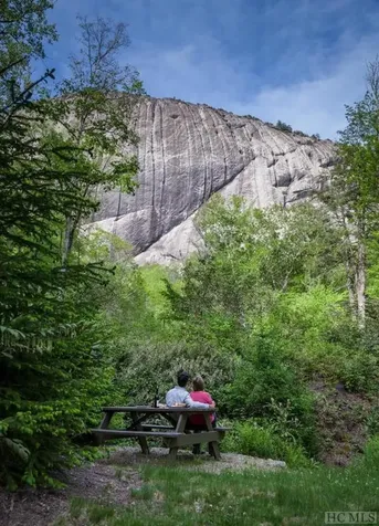 135 Lonesome Valley Road Sapphire NC 28774