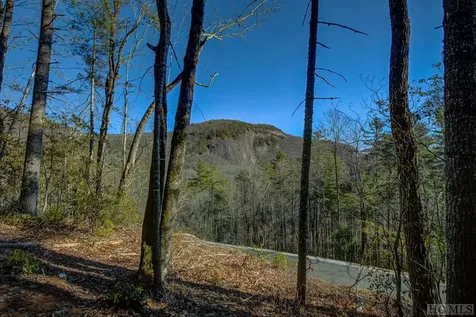 135 Lonesome Valley Road Sapphire NC 28774