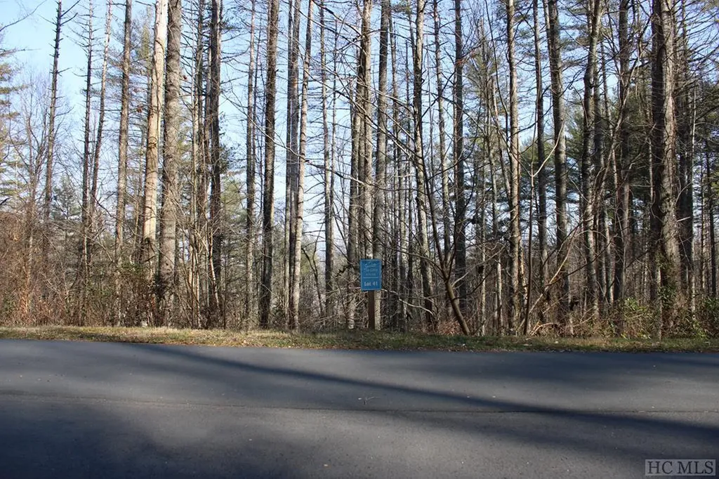 Lot 41 Rustling Woods Trail Cullowhee NC 28723