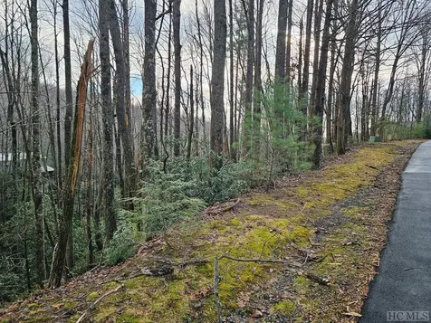 54 Black Oak Drive Sapphire NC 28744