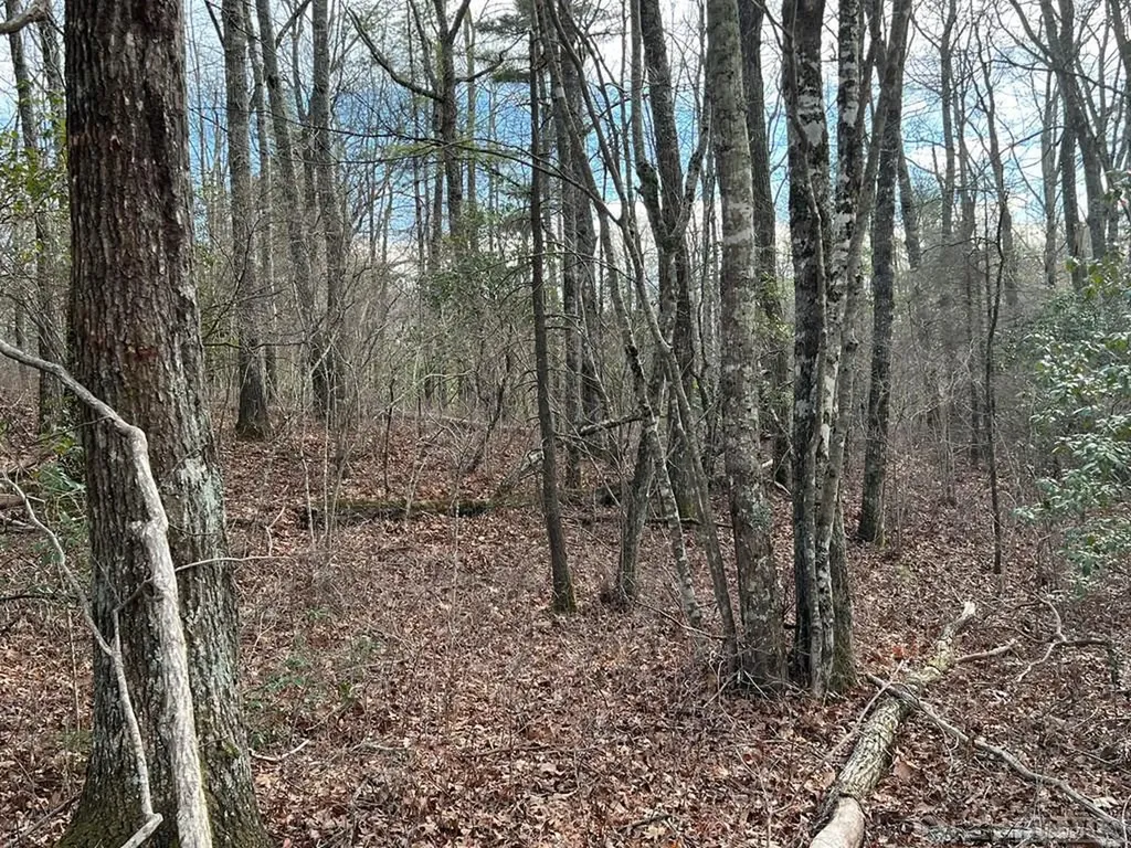 W23 Fish Camp Trail Glenville NC 28736