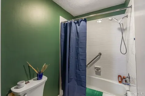50 - 11d Dogwood Knob Lane Sapphire NC 28774