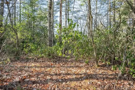 Lot 12 W Rochester Drive Cashiers NC 28717