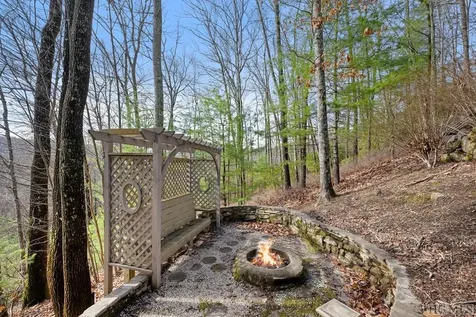 145 Mayapple Drive Sapphire NC 28774