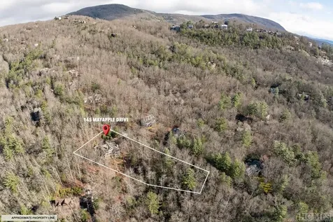 145 Mayapple Drive Sapphire NC 28774