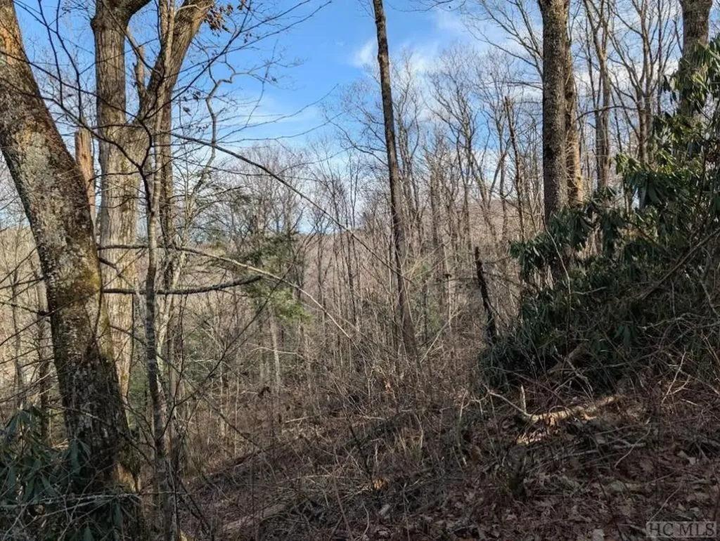 Lot 1 Apple Mountain Lane Highlands NC 28741