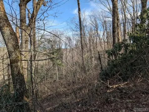 Lot 1 Apple Mountain Lane Highlands NC 28741